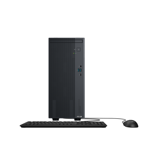 ASUS ExpertCenter P500 P500MV-13620H0010 90PF05I1-M004S0  Mini Tower 
