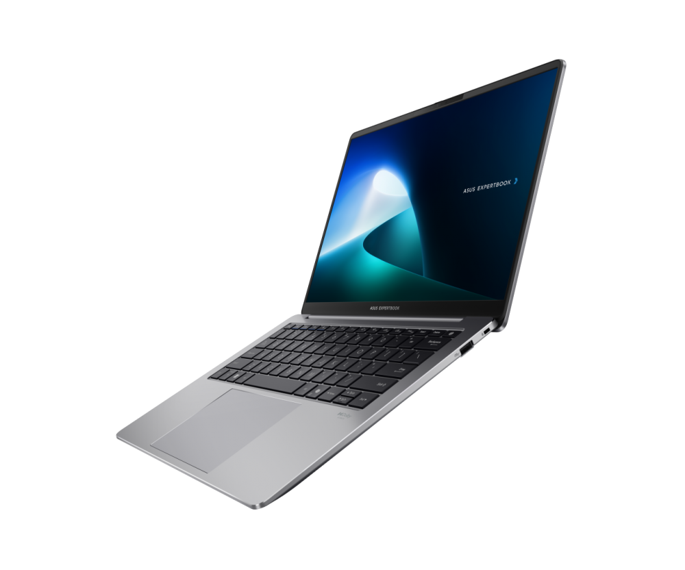 ASUS ExpertBook P5 P5405CSA-NZ0208 90NX0861-M008A0