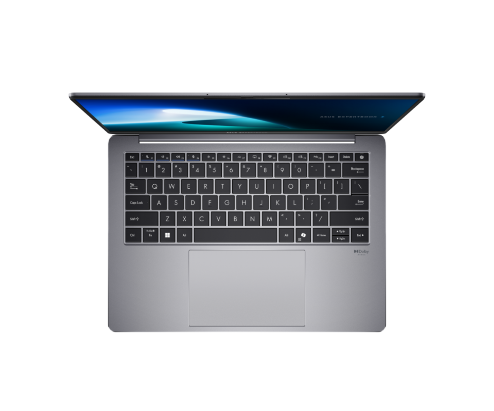 ASUS ExpertBook P5 P5405CSA-NZ0209 90NX0861-M008B0