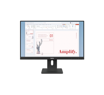 LENOVO ThinkVision E24-40 64BAMAT1EU Business Monitor