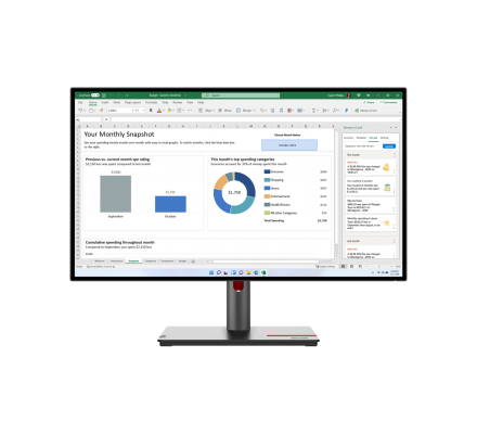 LENOVO ThinkVision P27h-30 63A1GAR1EU